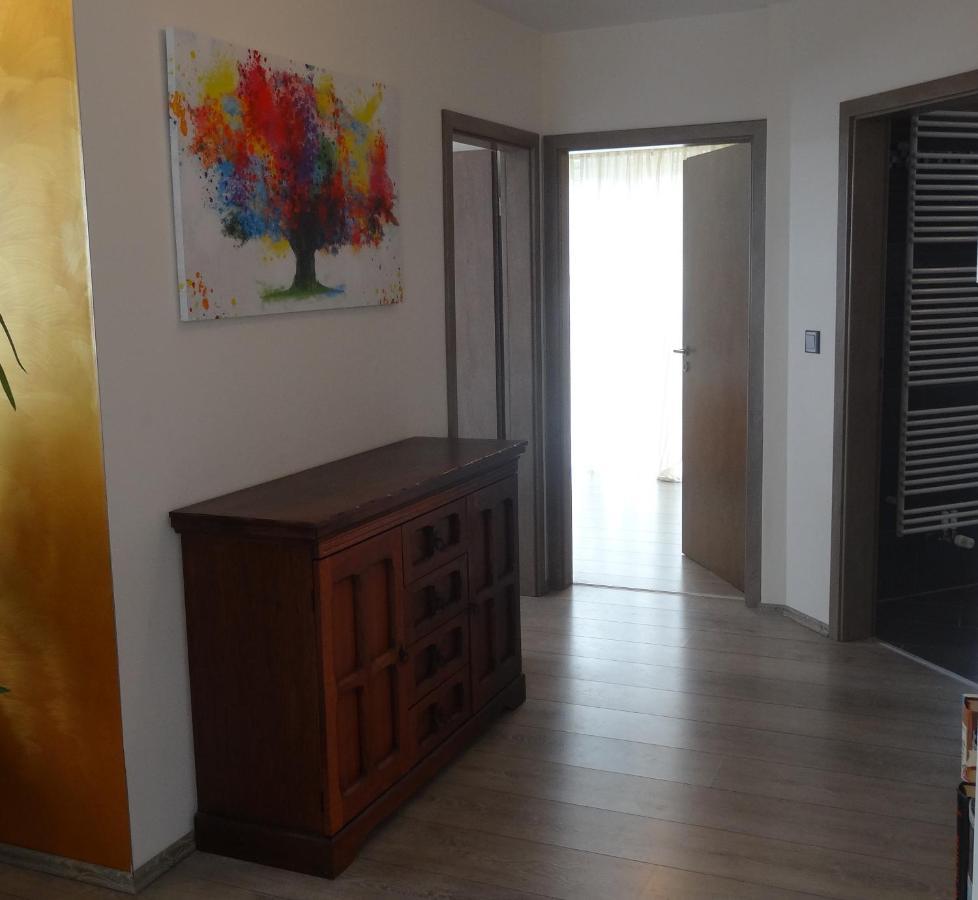 Ferienwohnung Schwarzwald-Baar Blick Донаушинген Екстериор снимка